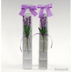 TIRA 6 NAPOLITANAS FLOR LAVANDA