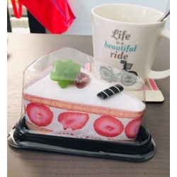 MAXIMIZE DULCE PORCIÓN PASTEL