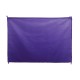 BANDERA POLIESTER 100X70