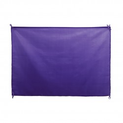 BANDERA POLIESTER 100X70