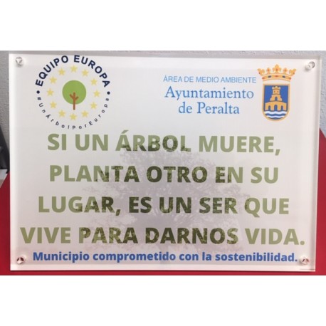 PLACA  PERSONALIZADA